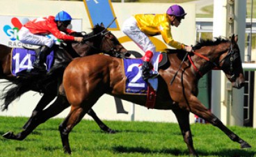 2011 Guineas Winner King Saul - Video